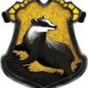 Secondhand Hufflepuff Robes - last post by ColdLlama